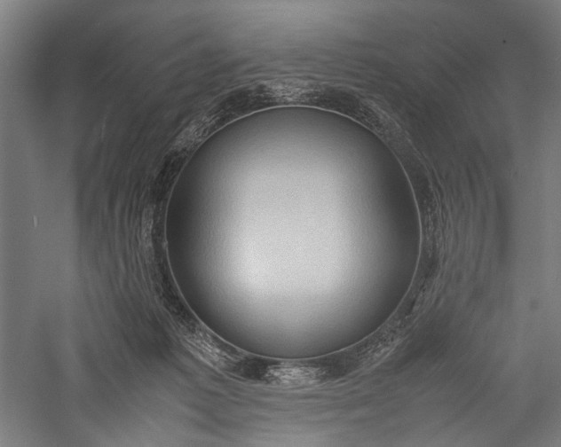 X0000057040221200509231455
