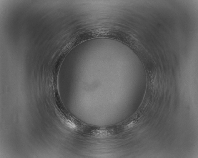 X0000057040224200509231455