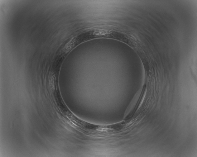 X0000057040227200509231455