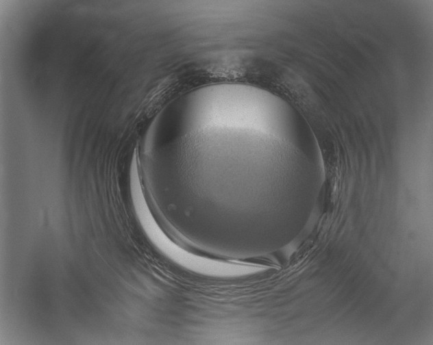 X0000057040229200509231455
