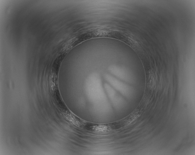 X0000057040230200509231455
