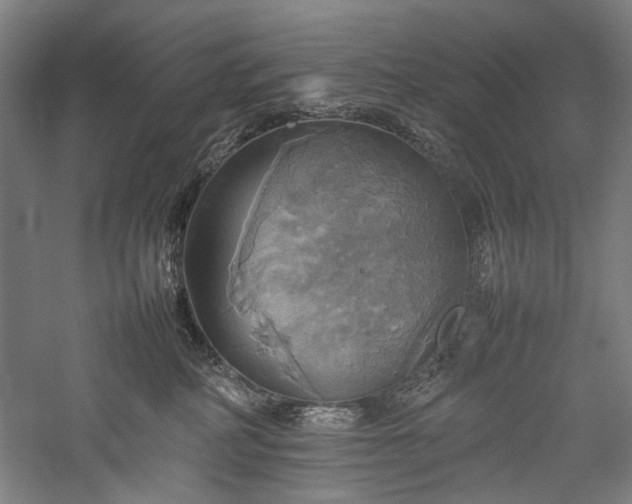 X0000057040234200509231455