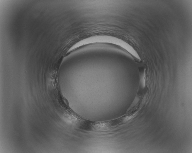 X0000057040237200509231455