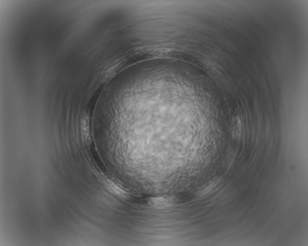 X0000057040238200509231455
