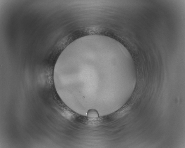 X0000057040240200509231455