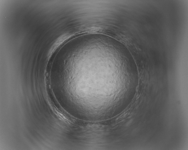 X0000057040242200509231454