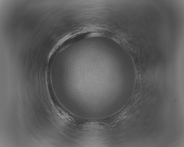 X0000057040244200509231454