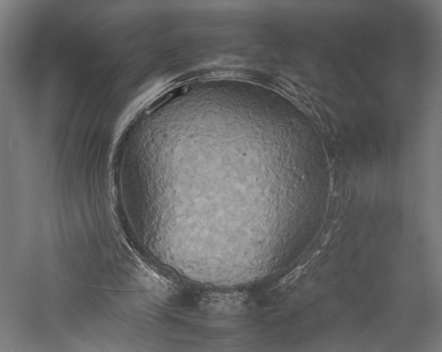 X0000057040245200509231454