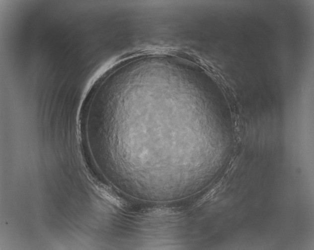 X0000057040246200509231454