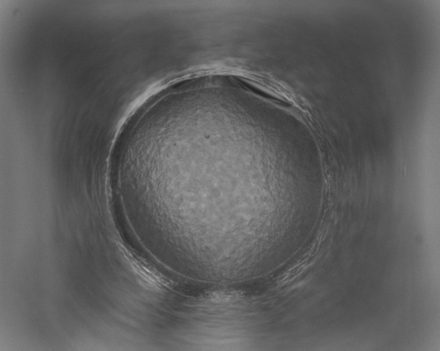 X0000057040248200509231454
