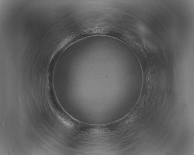 X0000057040250200509231454