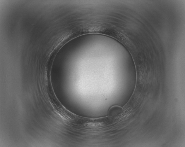 X0000057040251200509231454