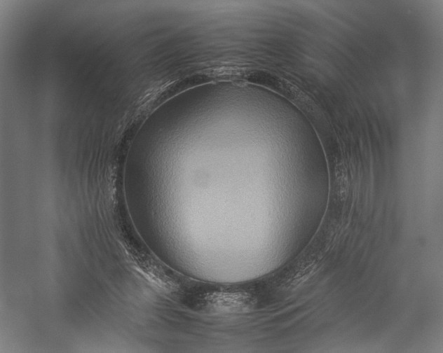 X0000057040255200509231454
