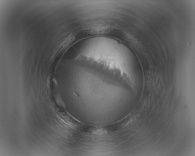 X0000057040258200509231454