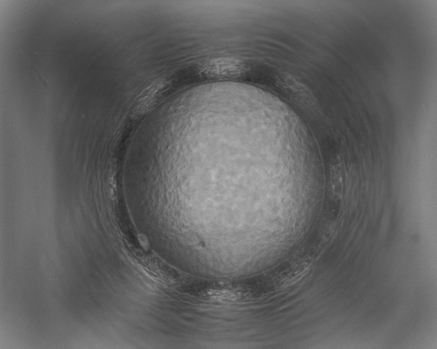 X0000057040259200509231454