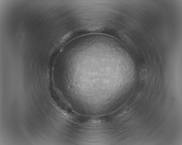 X0000057040260200509231455