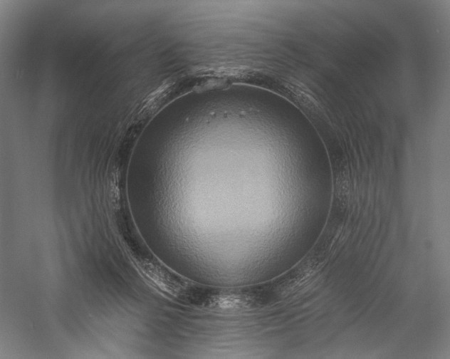 X0000057040264200509231455