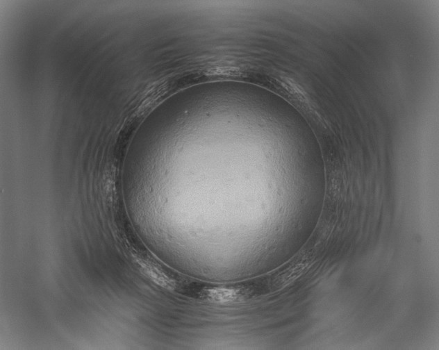 X0000057040265200509231455