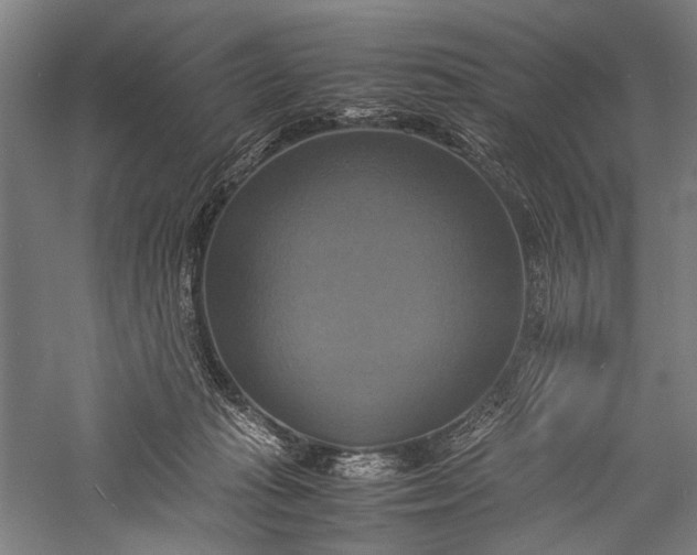 X0000057040269200509231455