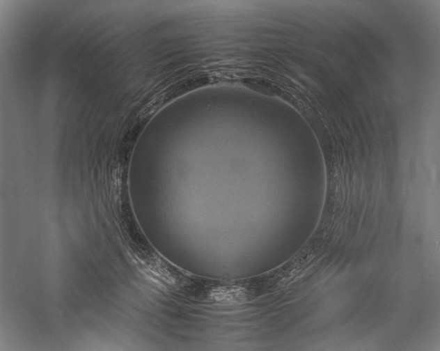 X0000057040271200509231455