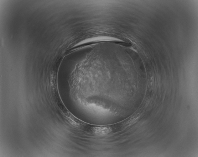 X0000057040281200509231455