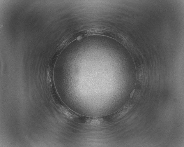 X0000057040282200509231455