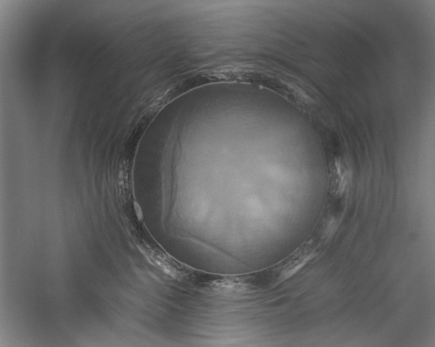 X0000057040284200509231455