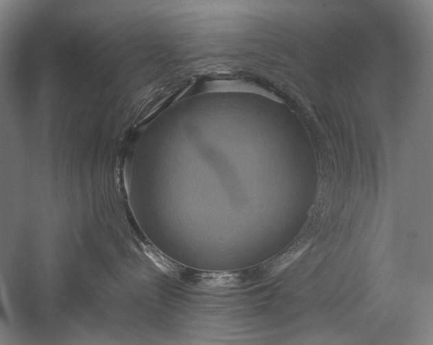 X0000057040288200509231455