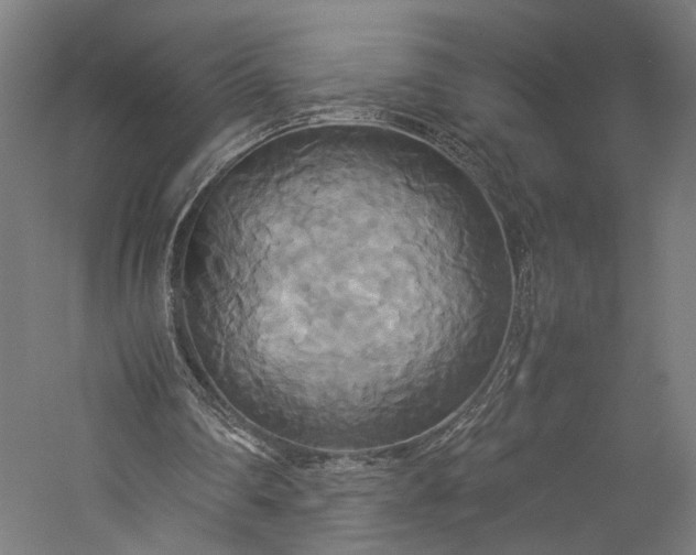 X0000057040290200509231454