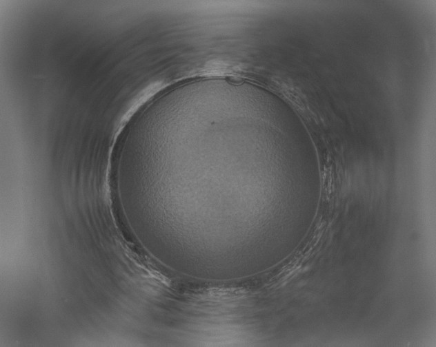 X0000057040292200509231454