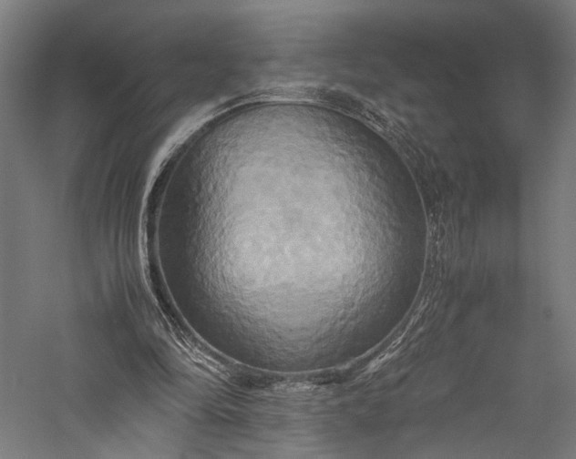 X0000057040294200509231454