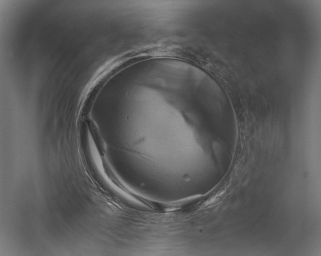 X0000057040295200509231454