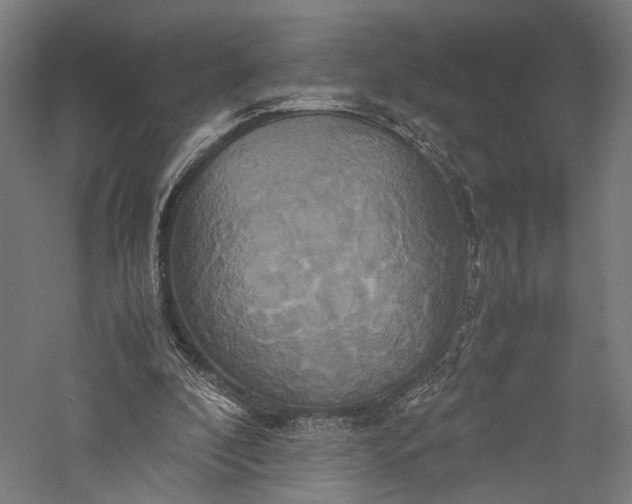 X0000057040296200509231454