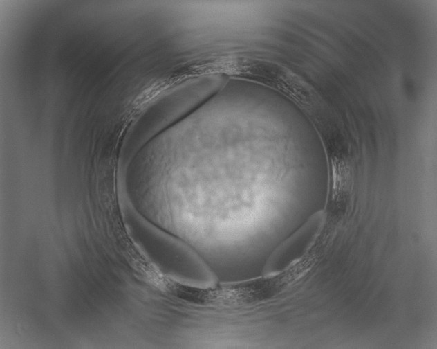 X0000057040301200509231454