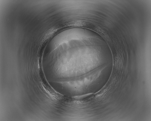 X0000057040302200509231454