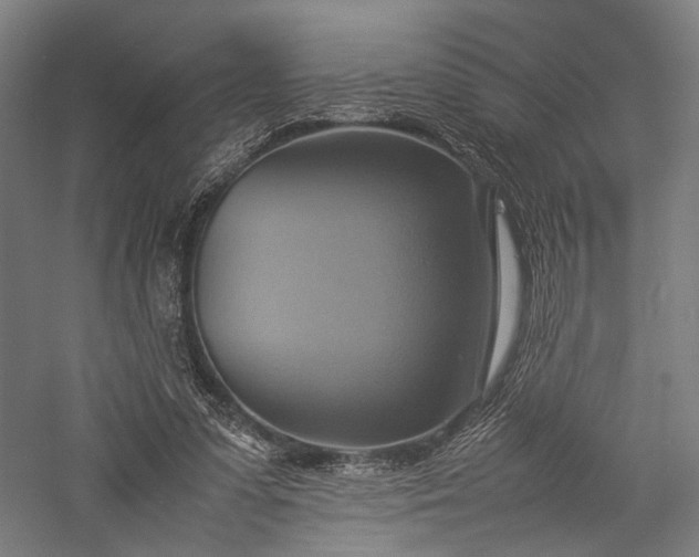 X0000057040303200509231454