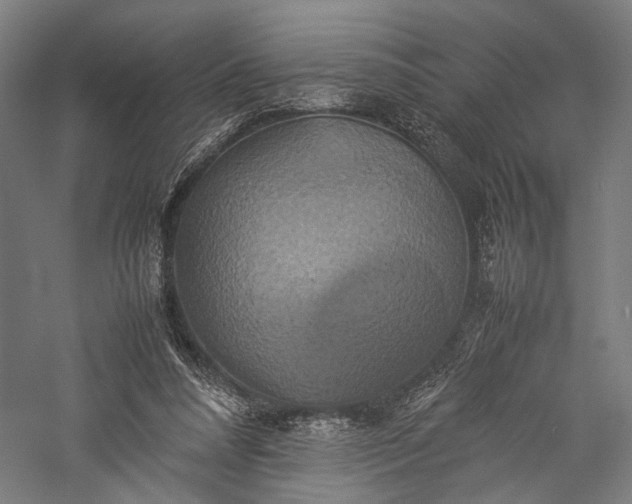 X0000057040304200509231454