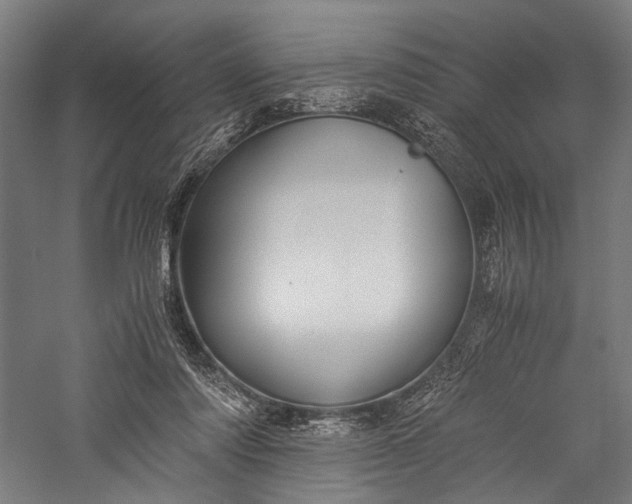 X0000057040310200509231454