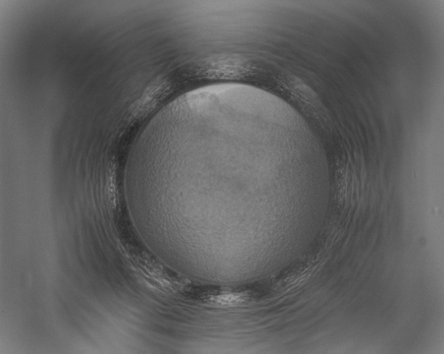 X0000057040312200509231454