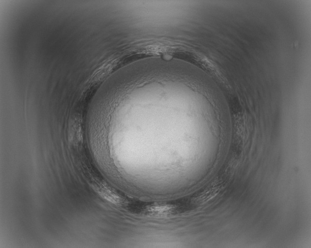 X0000057040313200509231454