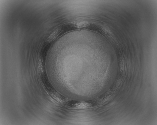 X0000057040316200509231454