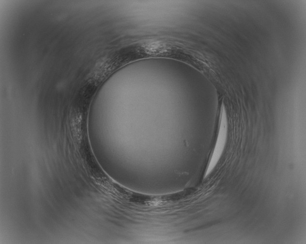 X0000057040319200509231454