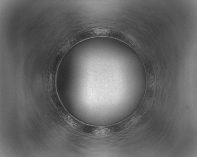 X0000057040321200509231454