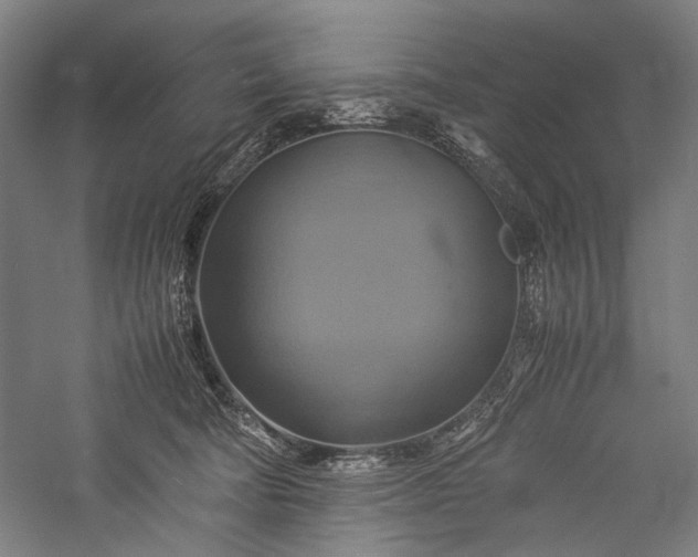 X0000057040322200509231454