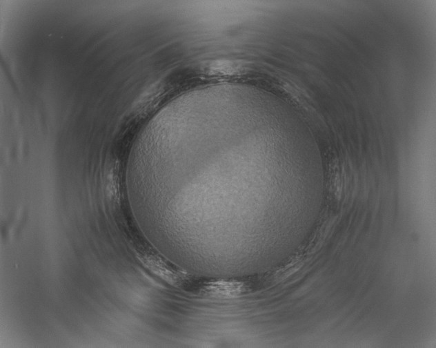 X0000057040328200509231453