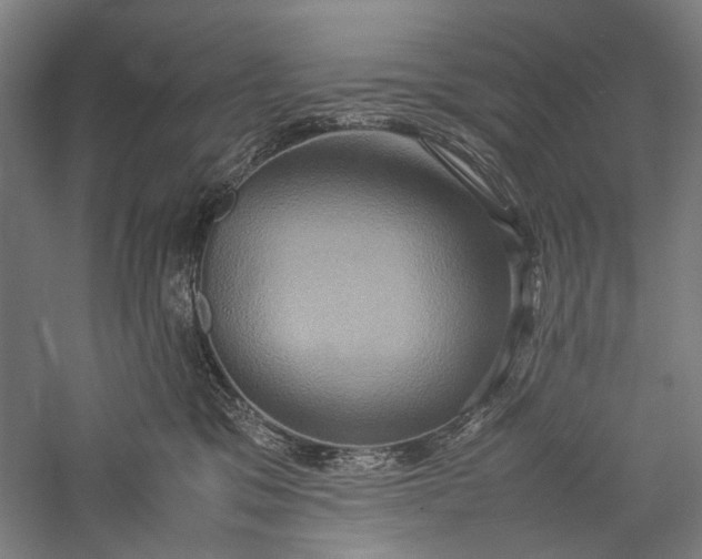 X0000057040329200509231453