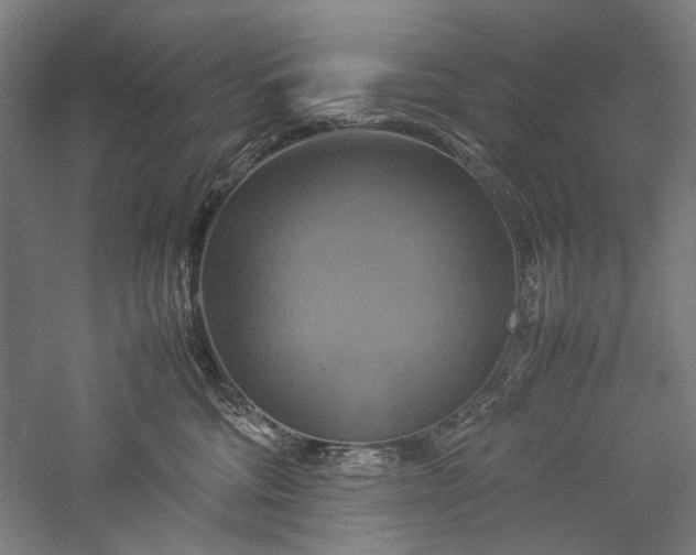 X0000057040330200509231453
