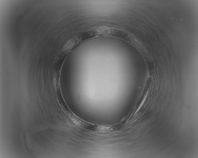 X0000057040333200509231453