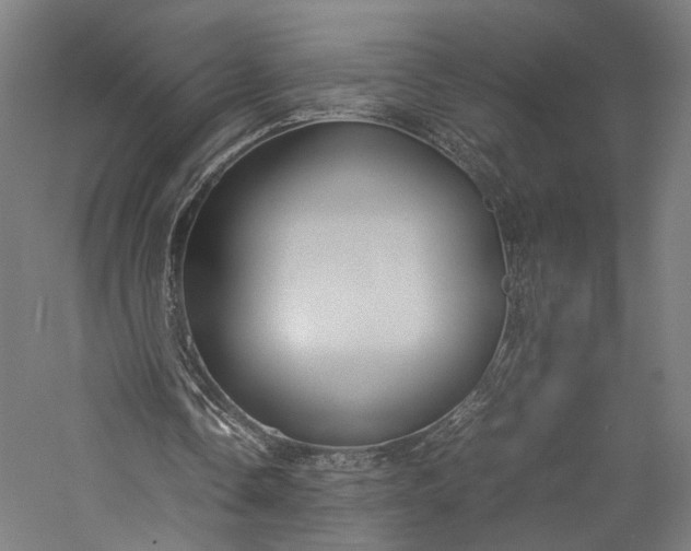 X0000057040338200509231453