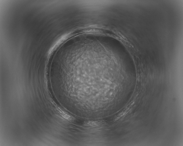 X0000057040341200509231453